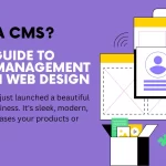 what does cms stand for in web design